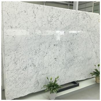 Carrara Classic Marble Carrara Classic Marble